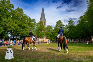 dag van het paard - sint anthonis - augustus 2026