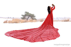 oanh in the snow - januari 2024