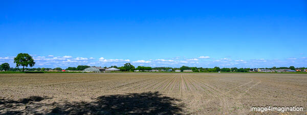 langenboom