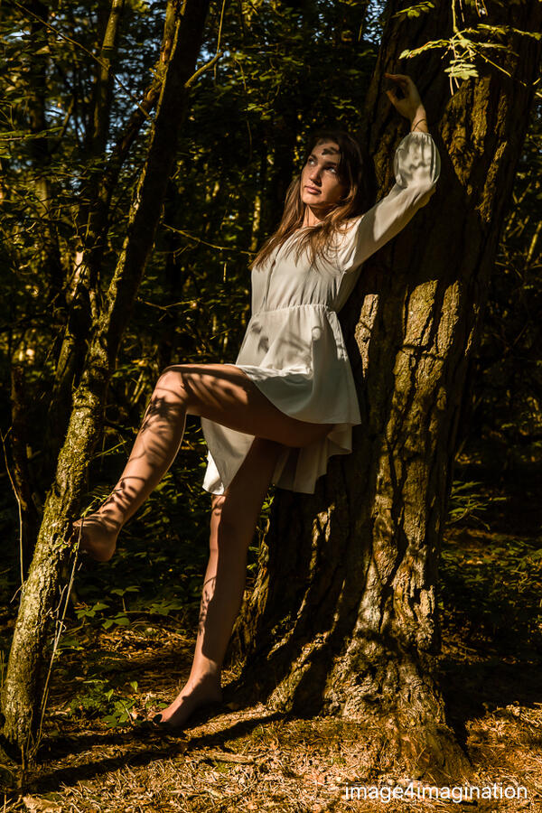 jeanne in the wood - september 2019